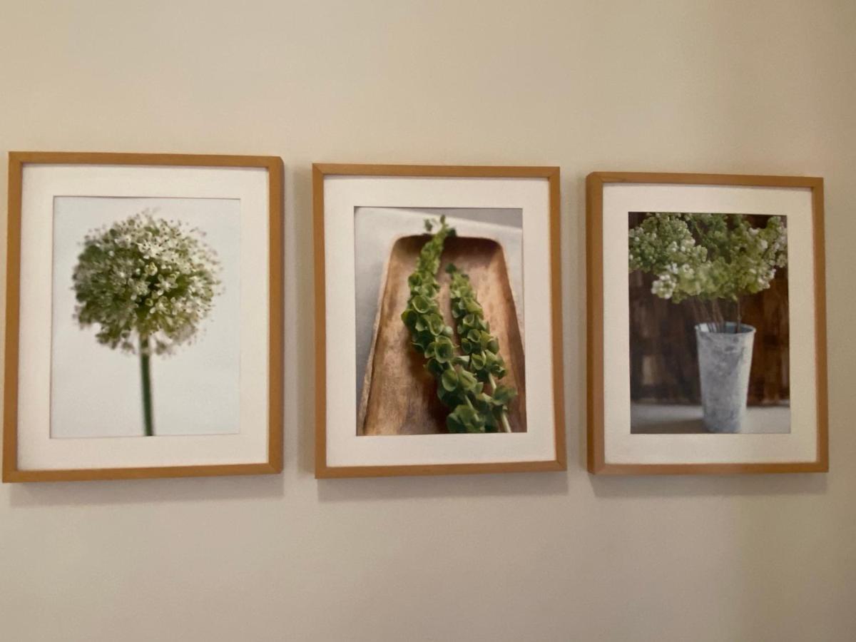 ורוצלב Klimatyczny Apartament Przy Rynku מראה חיצוני תמונה